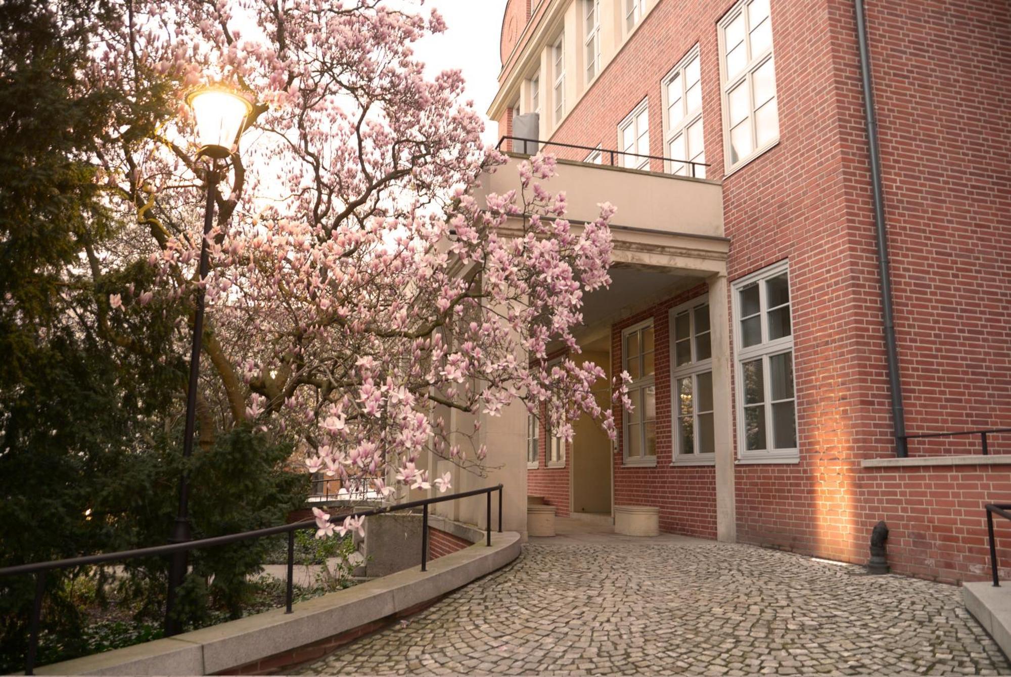 Rooms In Historic Heart Of Вроцлав Екстериор снимка